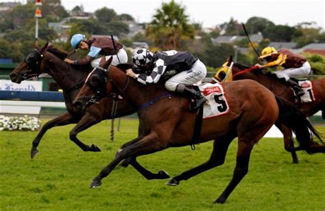 who to bet on auckland cup day|Auckland Cup 2025 Field, Tips, Betting Odds, Results .